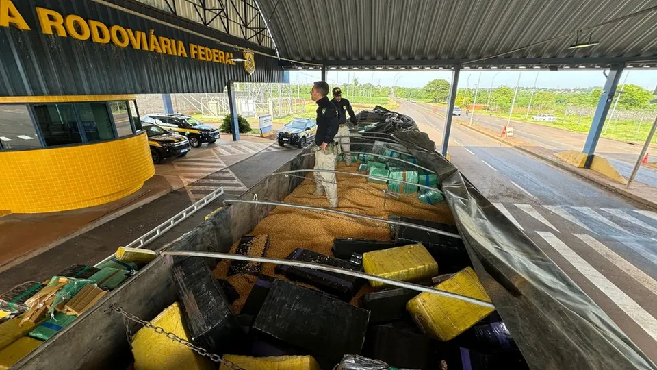 Polícia apreende cinco toneladas de maconha escondidas em carga de milho no Paraná