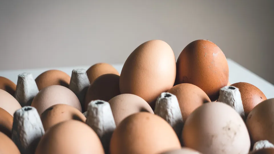 Conheça os efeitos positivos do ovo na alimentação e desmistifique preconceitos sobre seu consumo.