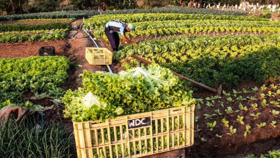 Nova legislação amplia participação da União no Fundo Garantidor de Operações para apoiar pequenos produtores rurais.