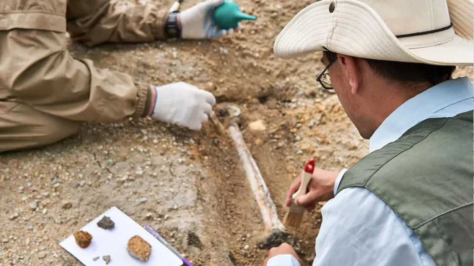 Estudo revela como fezes fossilizadas ajudam a entender a ascensão dos dinossauros