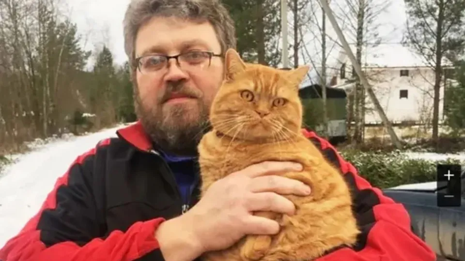 Dmitry Ukhin, de 55 anos, sofreu um arranhão do gato Styopka e não resistiu; ele tinha diabetes e problemas de coagulação