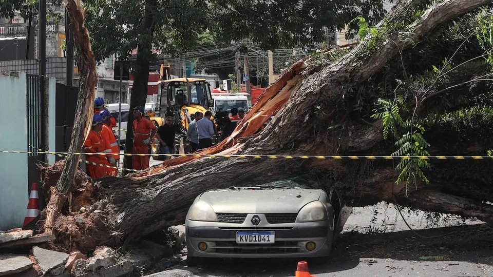 Previsão aponta chuvas e ventos fortes em São Paulo, com riscos de alagamentos e quedas de árvores