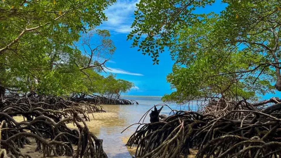 PEC das Praias avança no Congresso: entenda os prós e contras do projeto