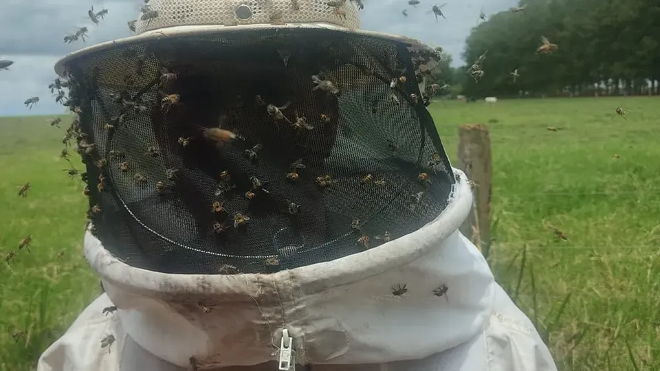 O suspeito tentou escapar após furar bloqueio da PRF e se escondeu em área com colmeias.