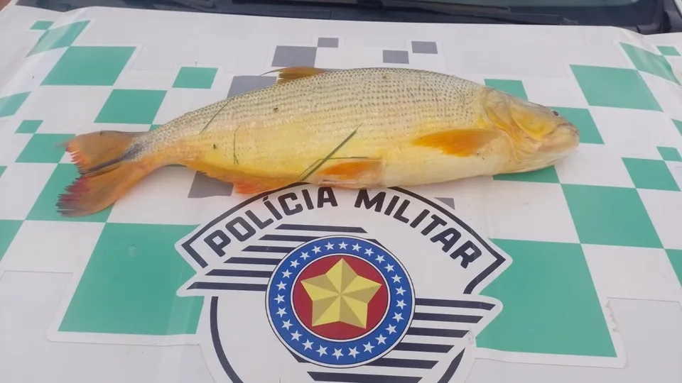 Após avistar viatura em Adamantina, homem de 33 anos se despediu de pescado ilegal e foi multado.