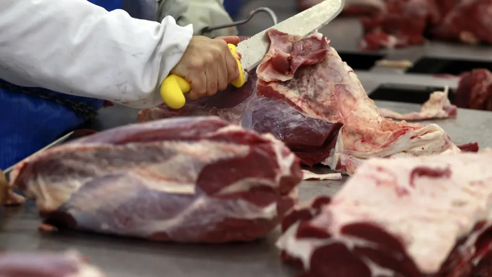 Instituto Brasileiro de Geografia e Estatística aponta crescimento nas exportações e no consumo interno de carnes.