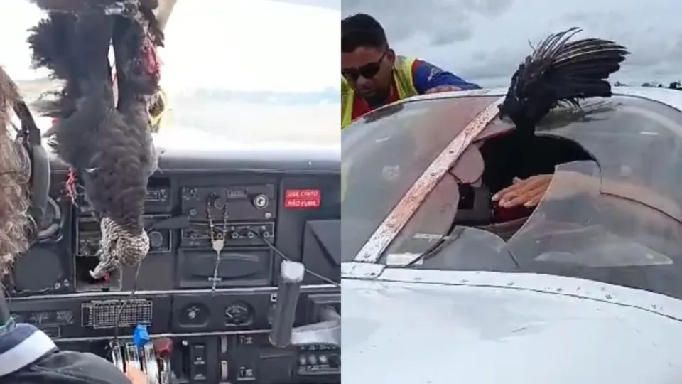 Avião partiu de Envira e tinha como destino Eirunepé; ninguém ficou ferido.