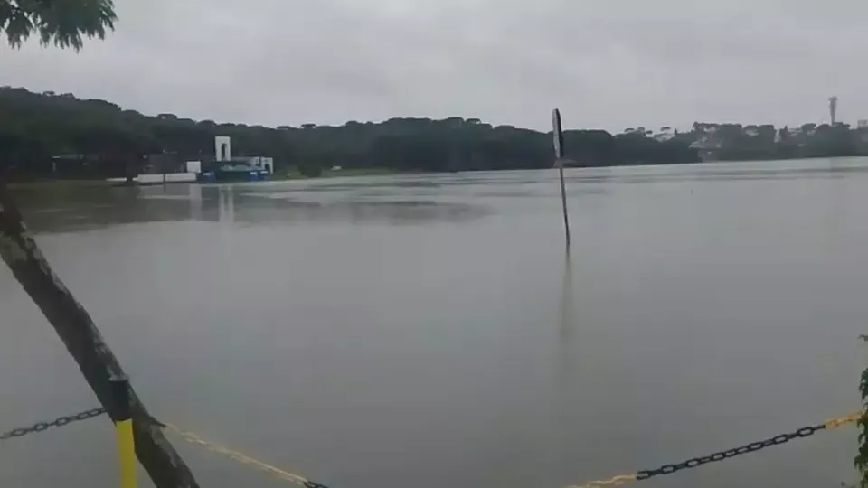 Curitiba registra alagamentos e quedas de árvores; veja vídeo da situação