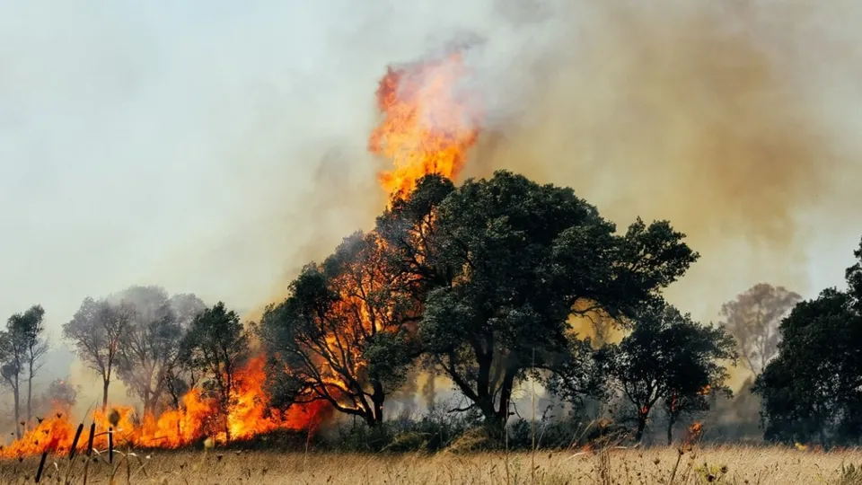 O ano de 2024 será o mais quente já registrado, superando o limite de 1,5°C do Acordo de Paris.