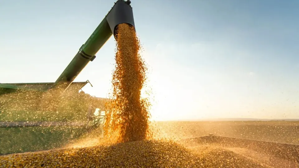 Após declarações polêmicas, a empresa francesa confirma que continua a comprar soja do Brasil, essencial para suas operações.