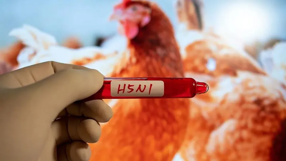 Cientistas destacam que o vírus H5N1 pode sofrer mutações que o tornem capaz de infectar pessoas, aumentando o risco de pandemia.