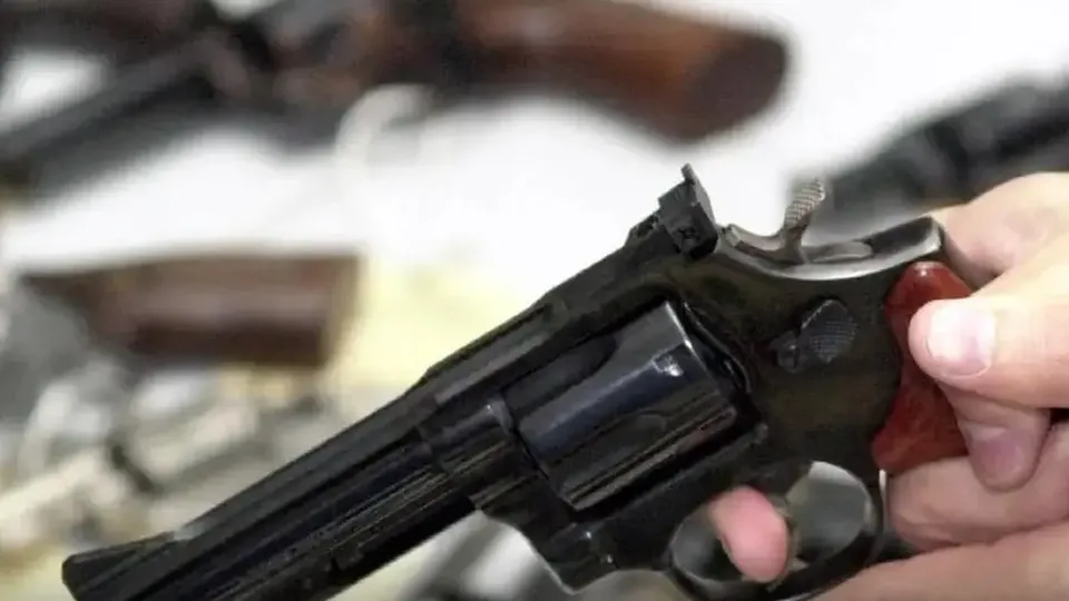 A proposta aprovada permite a regularização de armas não registradas e amplia prazos e condições para o registro.