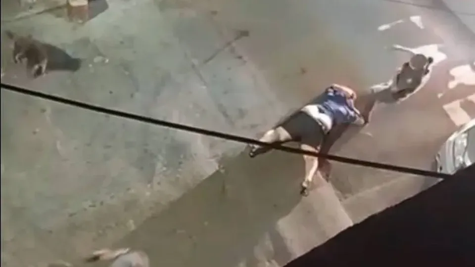 Imagens revelam agressões durante abordagem da PM em São Paulo; procedimento disciplinar foi aberto.