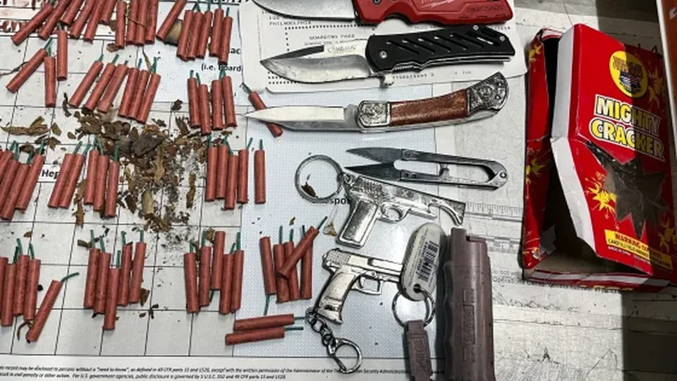 A passageira foi interceptada no Aeroporto Internacional de Los Angeles ao tentar embarcar com itens proibidos.