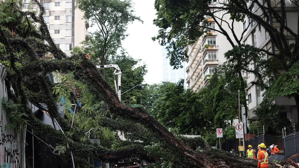 Após um Natal marcado por alagamentos e queda de árvores, a Defesa Civil de São Paulo emitiu alerta para novas chuvas fortes nesta quinta e sexta.