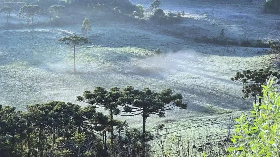 Cidade de Santa Catarina tem geada e registra temperaturas abaixo de 5ºC