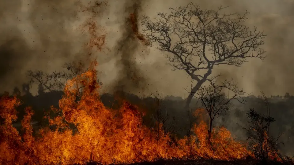 Aumento de desastres climáticos no Brasil chega a 250% em quatro anos, aponta estudo