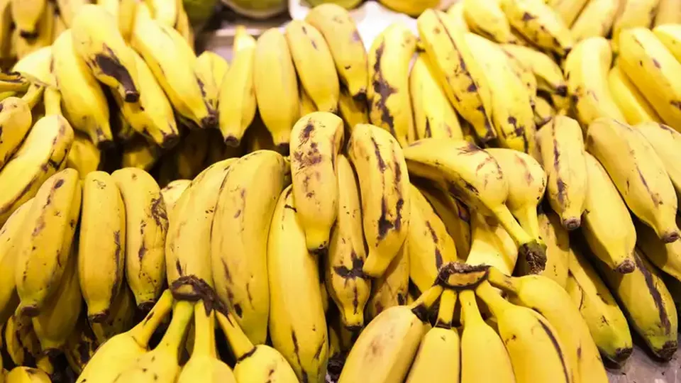 Portugal apreende quase 3,5 toneladas de cocaína escondidas em bananas