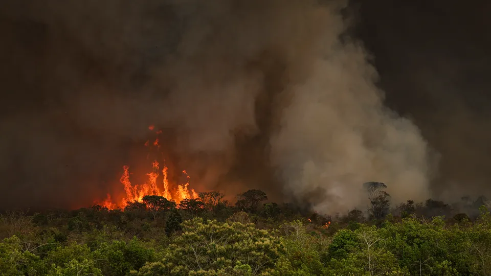 Brasil registra 1 milhão de focos de queimada entre 2020 e 2024, aponta Inpe