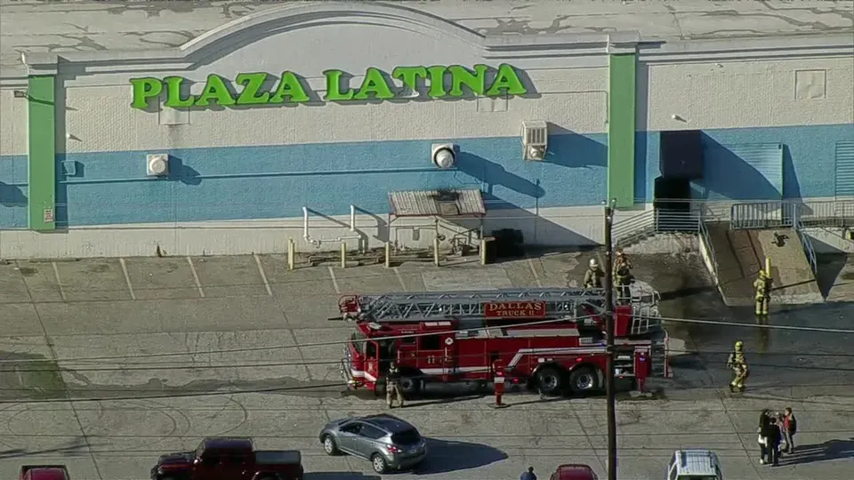 Fumaça tóxica causou a morte de 579 animais em loja de pets durante incêndio no Plaza Latina Bazaar.