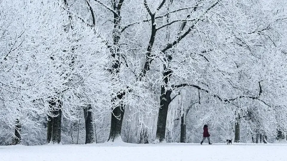 Tempestade de inverno nos EUA provoca frio intenso e nevascas perigosas