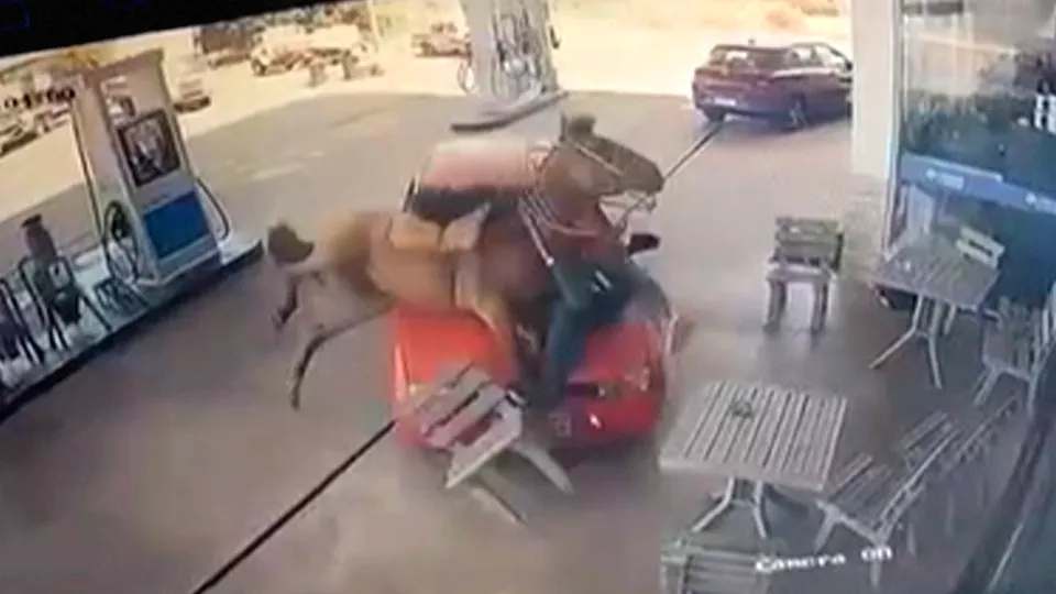 Homem é preso após atropelar cavalo e atacar vítima com facão no RS; vídeo