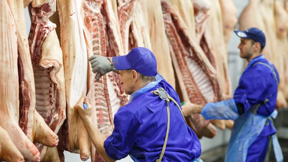 Exportação de carne suína do Brasil atinge recorde histórico em 2024