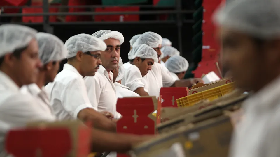 O setor industrial enfrenta uma nova retração, acumulando perdas significativas nos últimos meses, conforme dados do IBGE.