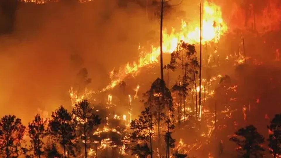 Incêndios na Califórnia podem causar prejuízos históricos de até US$ 57 bilhões