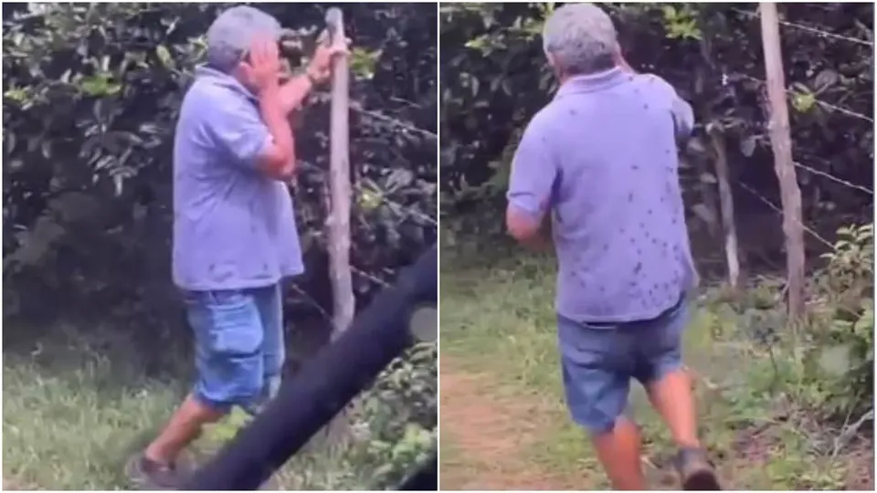Francisco Eudes Alves Gomes, conhecido como Eudim Pirrita, foi atacado enquanto limpava terreno em sua propriedade rural.