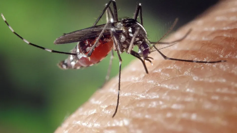 O estado de São Paulo confirmou 7.201 casos de dengue na primeira semana de 2025, com um aumento de 9,45% em relação ao ano anterior.