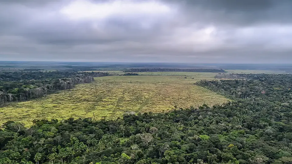 Nova legislação reclassifica áreas da Amazônia como Cerrado, reduzindo proteção ambiental.