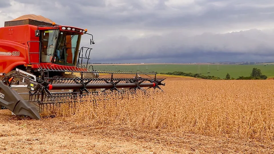 Prognóstico aponta aumento de 10,2% na produção em relação a 2024, com destaque para a soja e o milho.