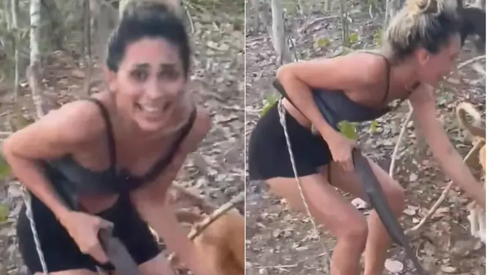 Ibama investiga tortura e morte de onça-parda após vídeo viralizar nas redes sociais