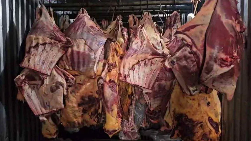 Polícia investiga revenda de 800 toneladas de carne estragada no RJ