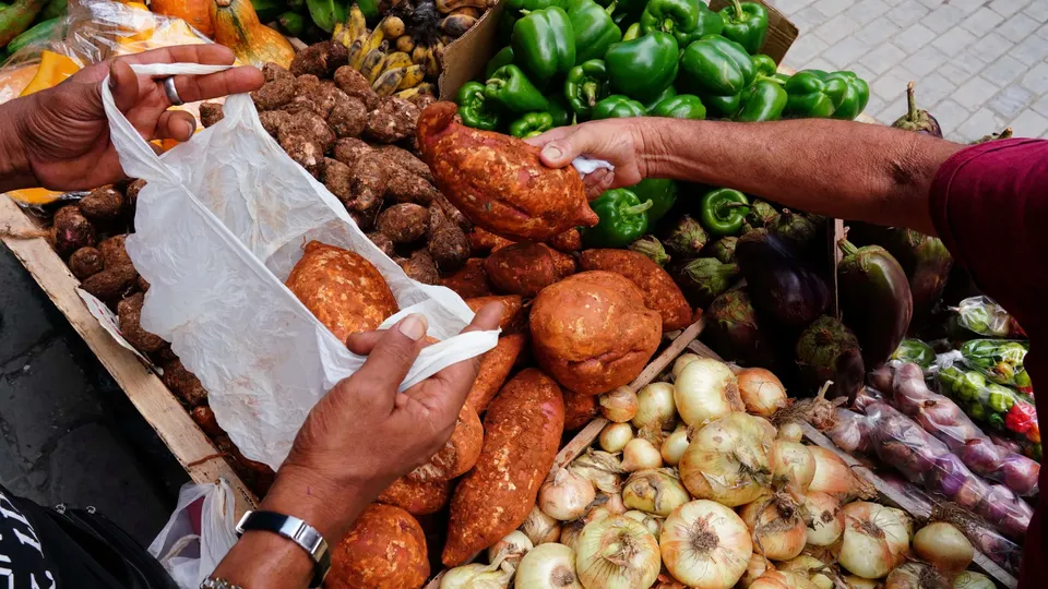 Cebola, cenoura e tomate têm alta nos preços do atacado em dezembro, diz Conab