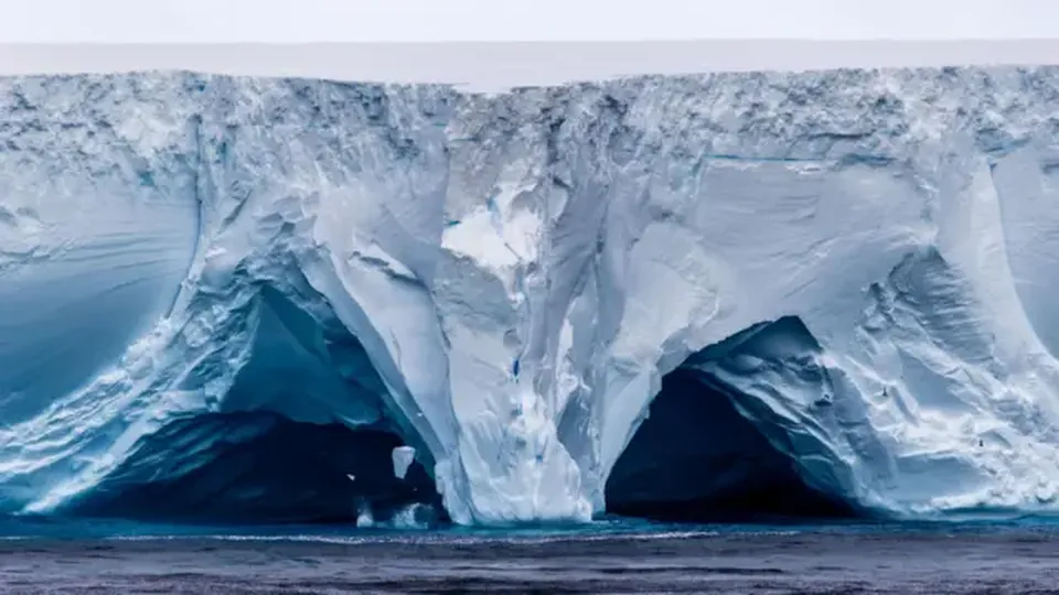 Iceberg A23a, duas vezes maior que São Paulo, está a menos de 300 km da Geórgia do Sul, reduto da vida selvagem.