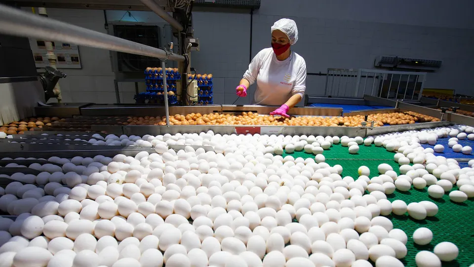A compra marca a entrada da JBS no segmento de ovos, expandindo sua atuação global em proteínas.