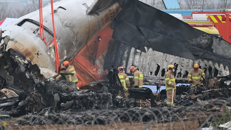 Relatório preliminar revela que penas e sangue de aves foram encontrados nos motores do Boeing da Jeju Air que caiu em dezembro.
