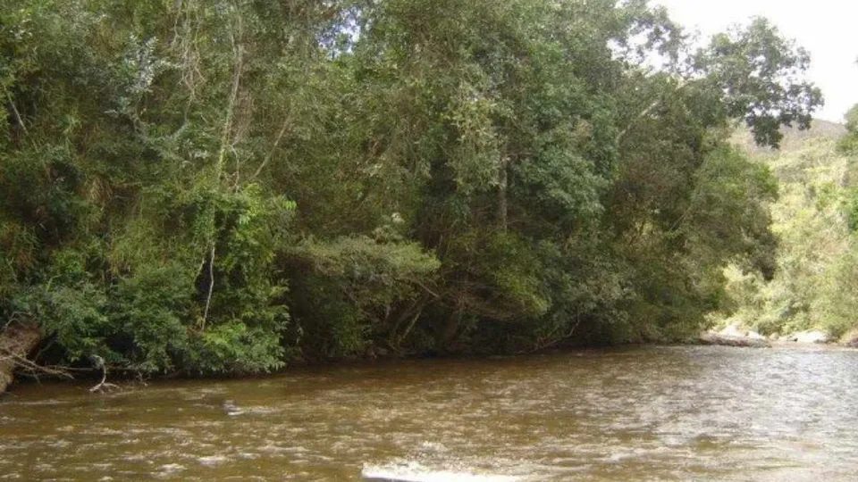 Mulher é presa após jogar filha de 11 meses em rio em Itamarandiba, MG