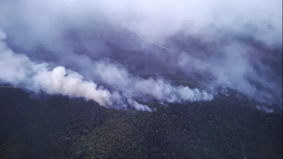 Bombeiros lutam contra incêndios que já consumiram vastas áreas de florestas; calor intenso pode agravar a situação.