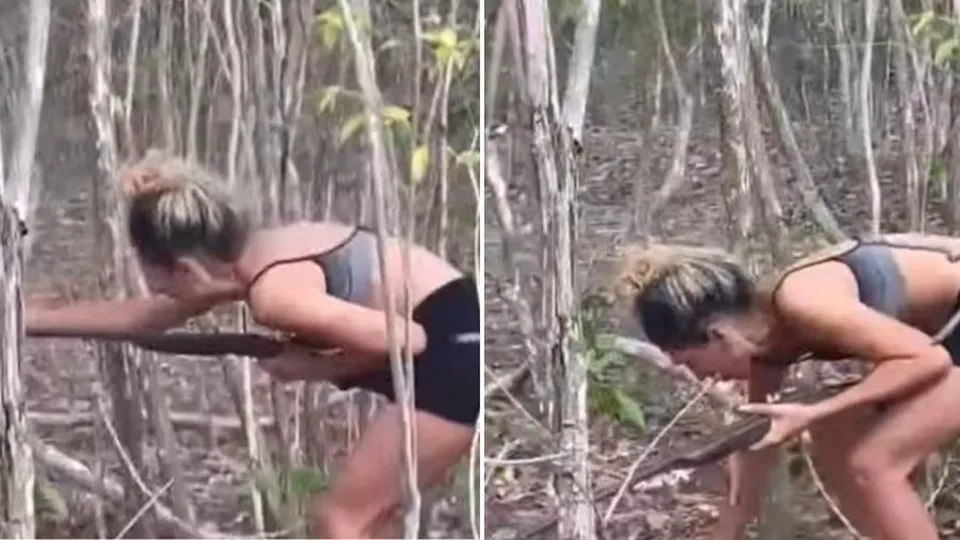 Três pessoas foram multadas após filmarem e permitirem ataque de cães a onça-parda em Alto Longá; caso gera indignação.