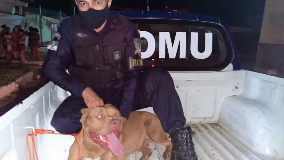 Homem tem braços amputados após ataque de pitbulls em Extremoz, RN