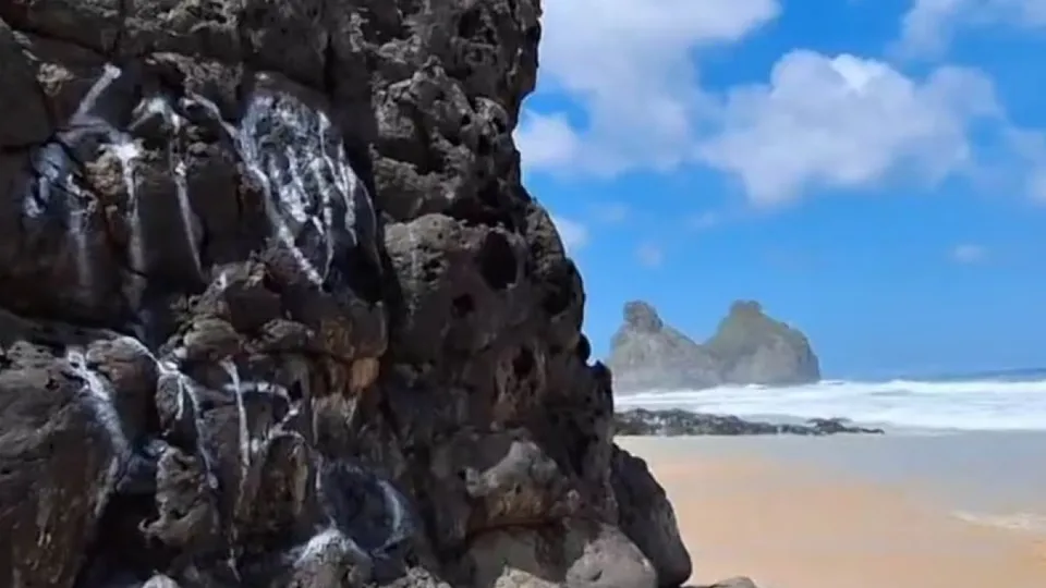 Um trabalhador da Usina de Tratamento de Resíduos Sólidos foi detido e expulso após vandalizar patrimônio natural da ilha.