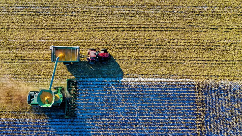 A compra, que envolve áreas arrendadas, ampliará a área plantada da SLC em 13% e depende da aprovação do Cade.