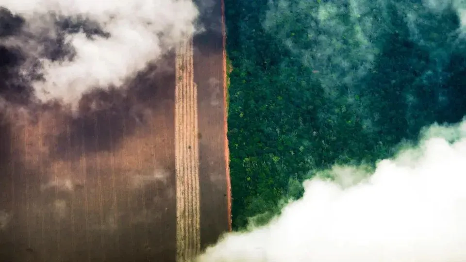 Dados do Inpe mostram que área desmatada na Amazônia Legal caiu 64% em relação a 2024.
