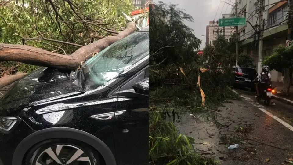 Um motorista de aplicativo perdeu a vida após uma árvore cair sobre seu carro em meio a forte chuva na capital paulista.