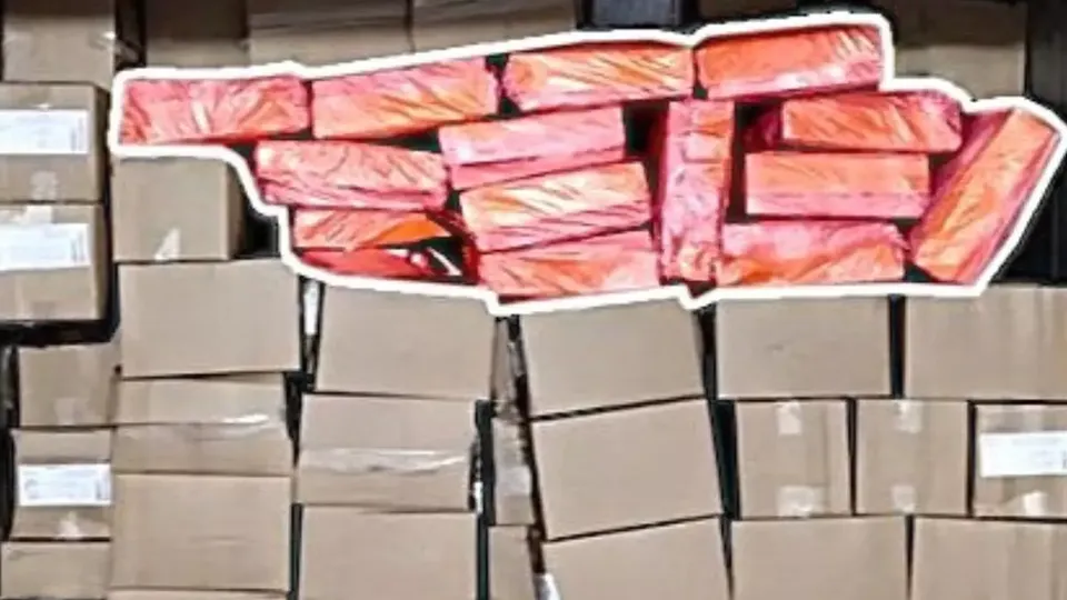 Operação Iceberg cumpre mandados em Santa Catarina, Paraná e São Paulo; grupo movimentou R$ 450 milhões em três anos