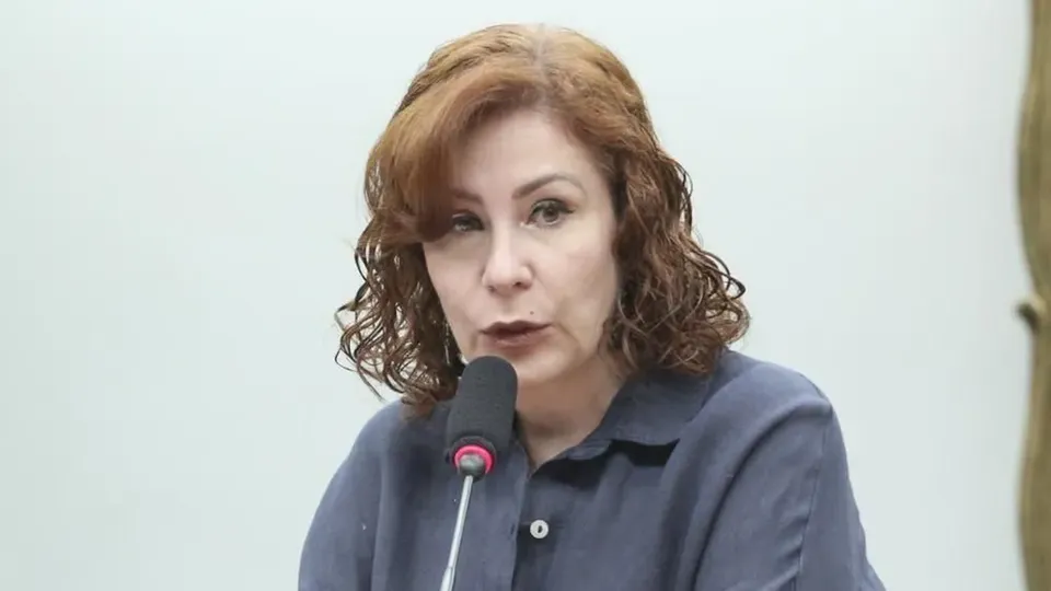 A deputada federal Carla Zambelli (PL-SP) é ré no STF por porte ilegal de arma e constrangimento ilegal durante episódio em São Paulo.