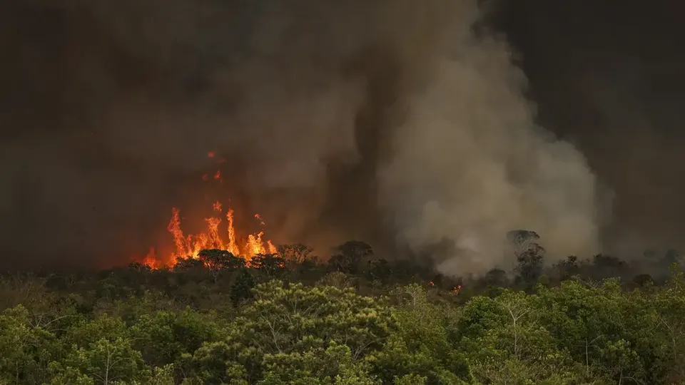 Penas para provocar incêndios aumentam de 2 a 4 anos para 3 a 6 anos; proposta segue para o Senado